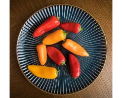 Medium Plates^MIYA Company Aiya Navy 8-3/4
