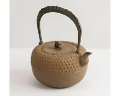 Teapots - Cast Iron^MIYA Company Iwachu Kettle Tetsubin Gravel Turtleshell Brown