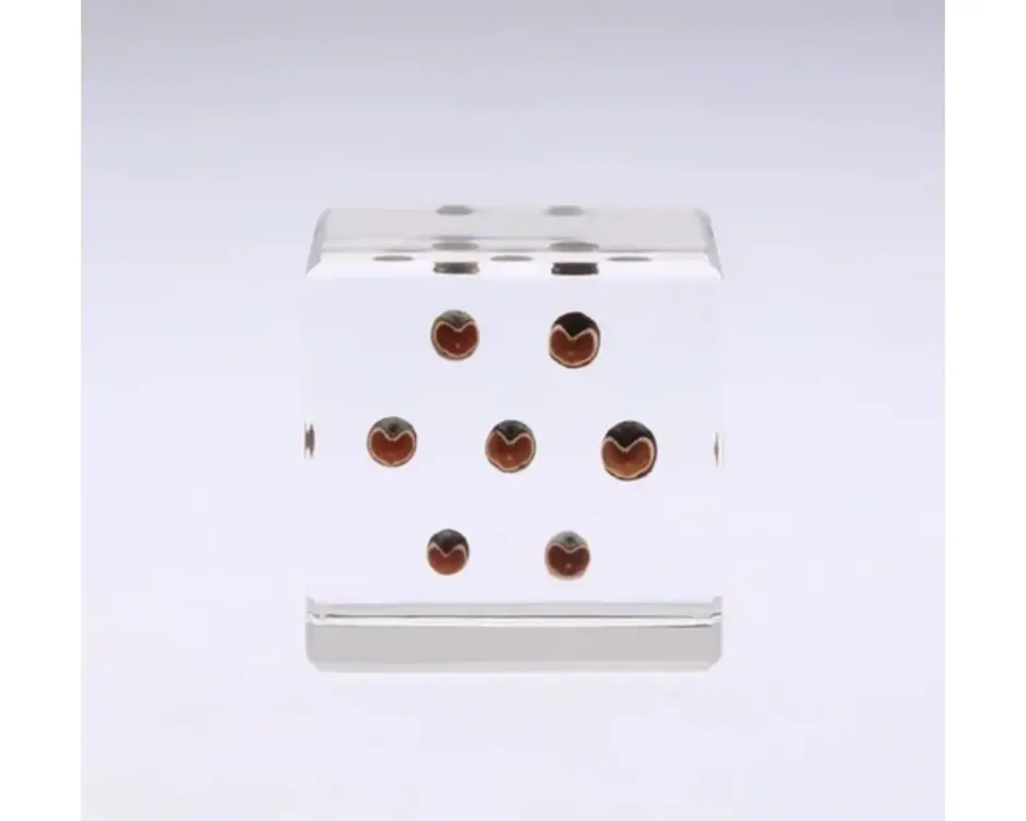 Desk Accessories^MIYA Company Sola Cube Balloon Plant