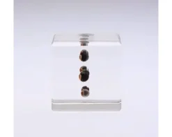 Desk Accessories^MIYA Company Sola Cube Balloon Plant