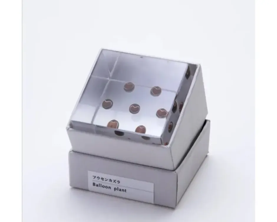 Desk Accessories^MIYA Company Sola Cube Balloon Plant