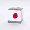 Desk Accessories^MIYA Company Sola Cube Huayruro Seed