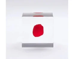 Desk Accessories^MIYA Company Sola Cube Huayruro Seed