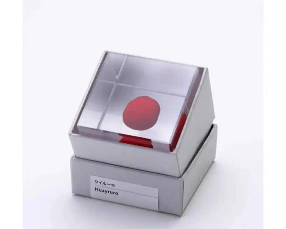 Desk Accessories^MIYA Company Sola Cube Huayruro Seed